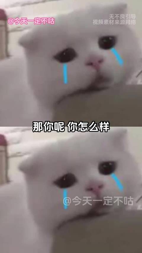 人悲伤到极致是哭不出来的 亲人 泪目