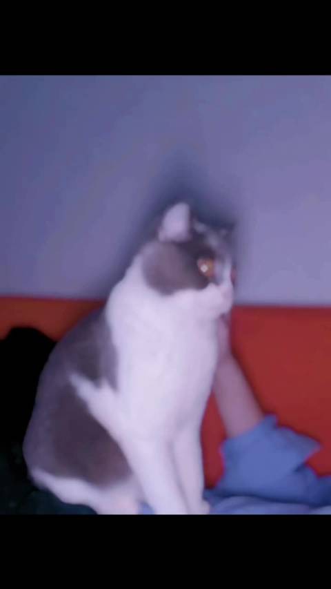 你肆无忌惮 你急着闹翻 用词刁钻 要观后感 爱本是两端 要倾斜不难 要摧毁简单