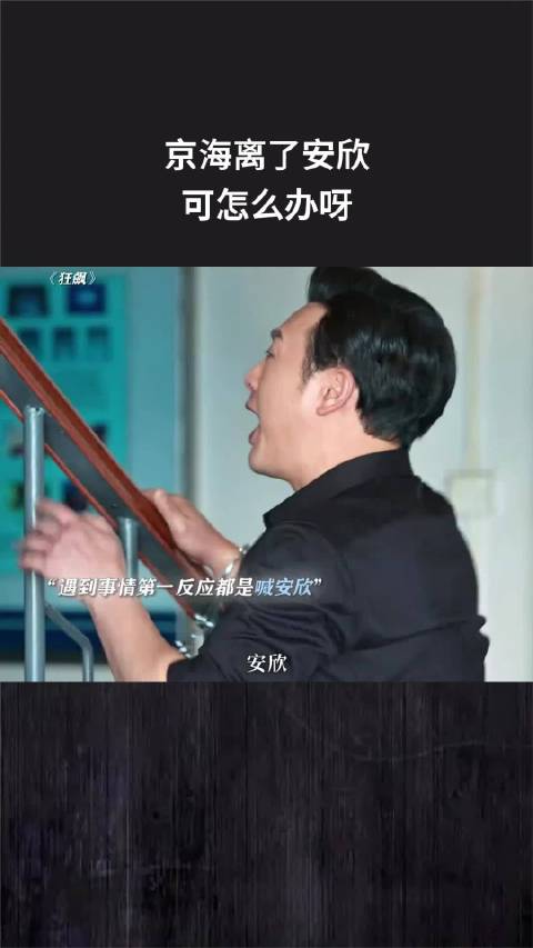 京海离了安欣可怎么办呀
