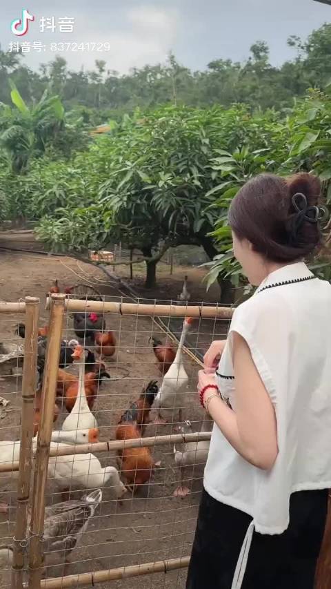 生日快乐 不敢进去