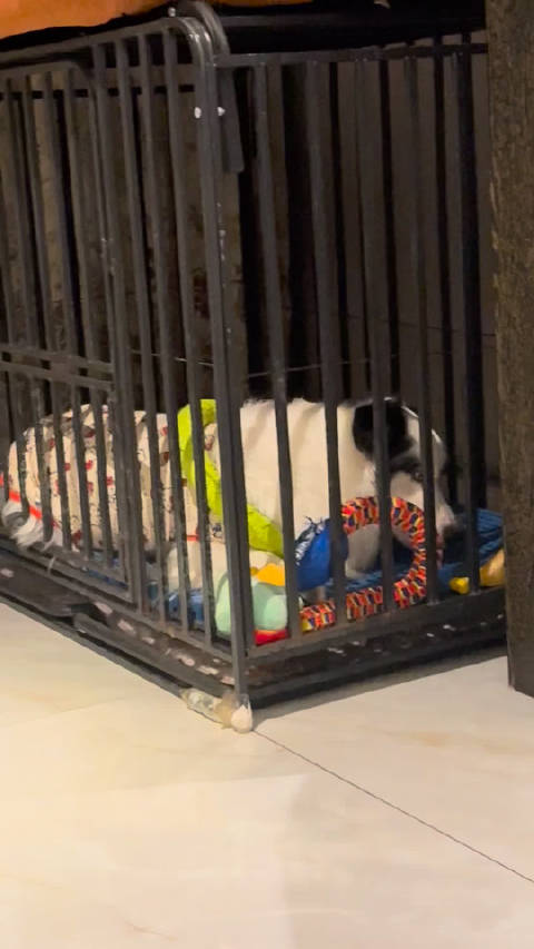 咱家有个小哪吒