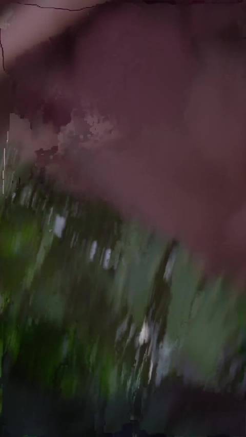 杨幂从童星到票房女王，四十载光影路活成自我主宰