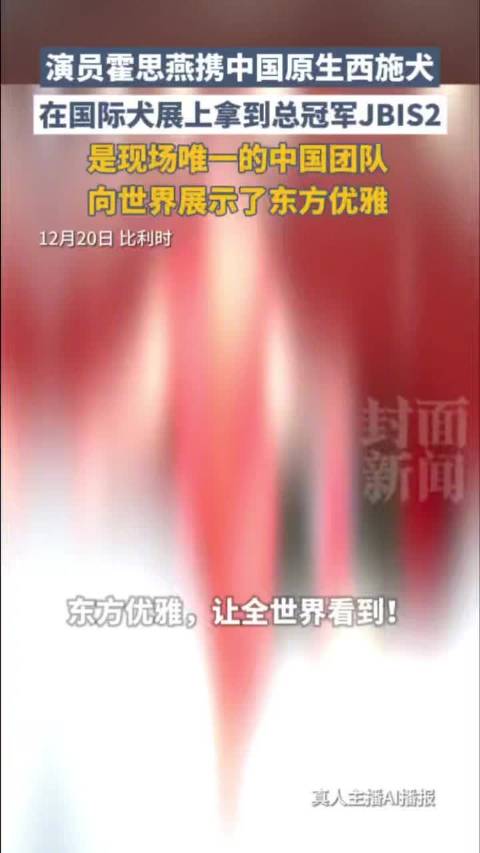 霍思燕养了20多只狗狗