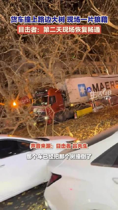 大货车撞倒路边粗壮大树 ：无人员受伤