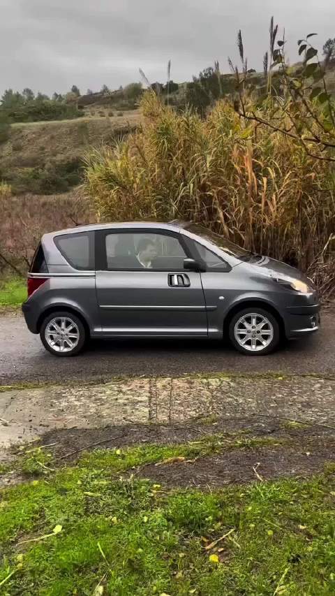 法国标志1007电动小车配侧滑门引关注