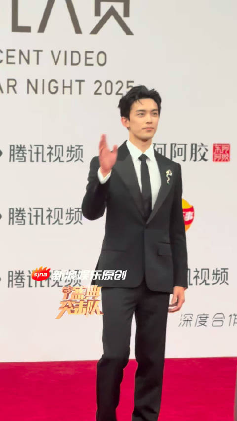 吴磊星光大赏红毯 我的体制内男友！