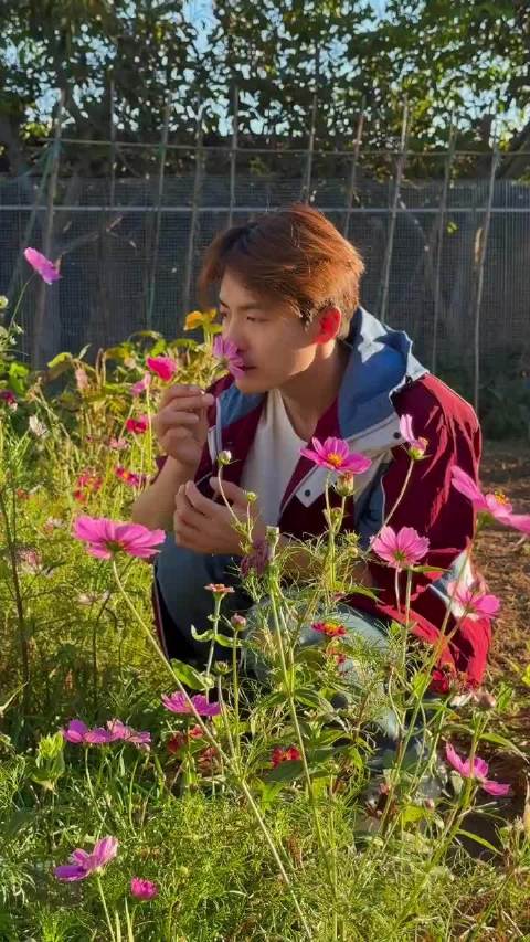 马天宇退居农场种田养鸡，拒绝娱乐圈潜规则