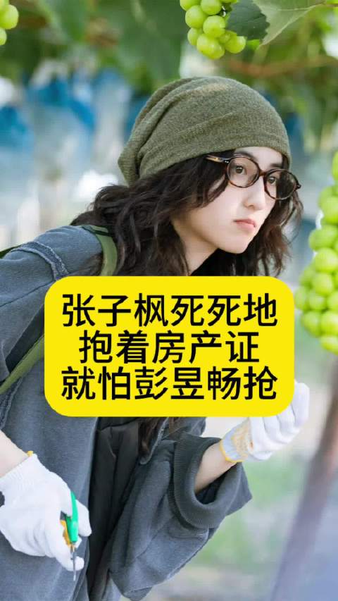 张子枫死死地抱着房产证，就怕彭昱畅抢