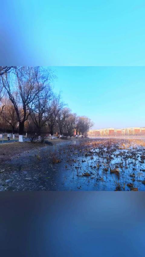 晨跑十公里迎晨光，优雅生活显格调