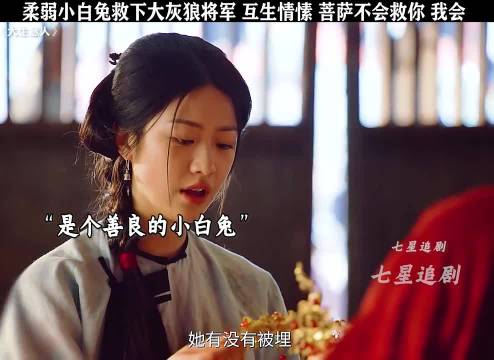 陈晓孙千朱亚文向涵之新剧《大生意人》曝情感线