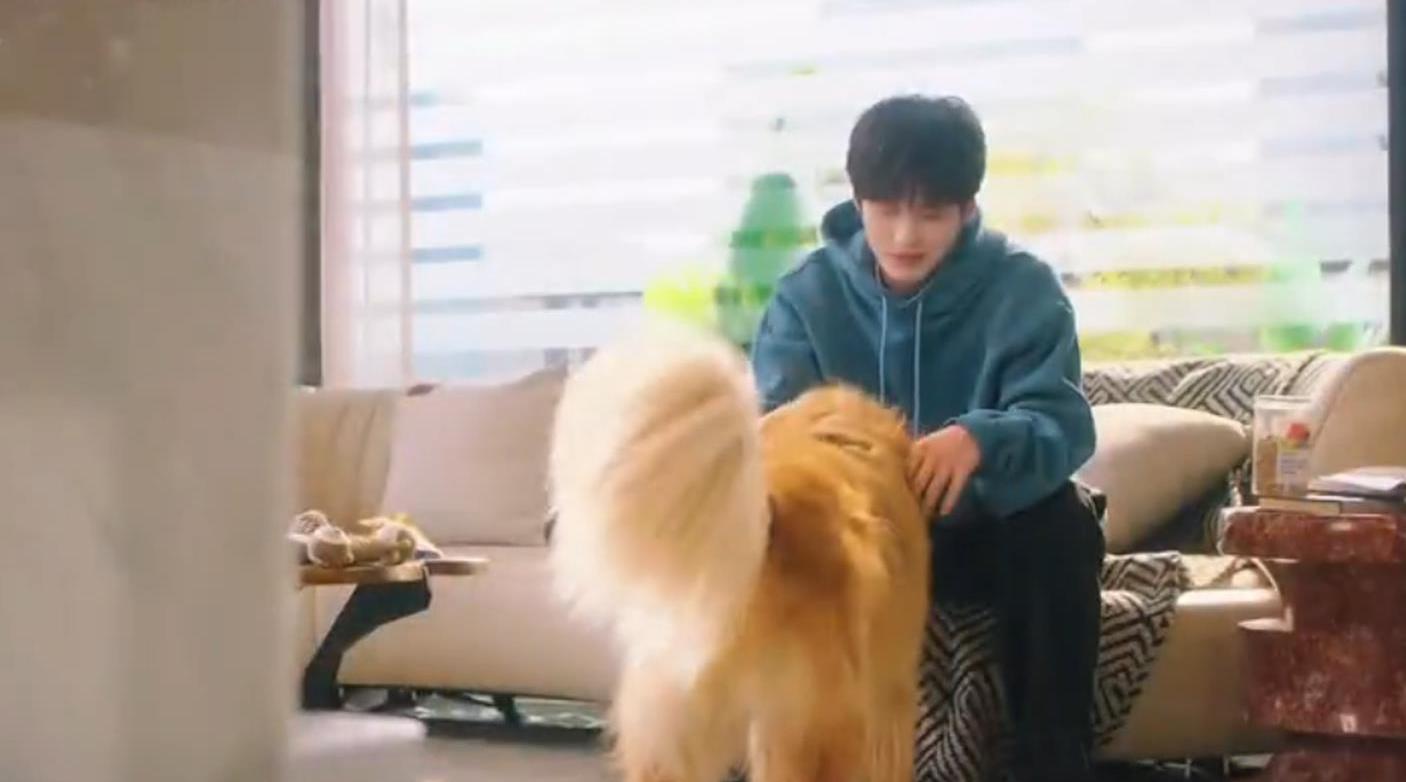 网剧双轨收官，姜暮靳朝暮暮朝朝终团聚