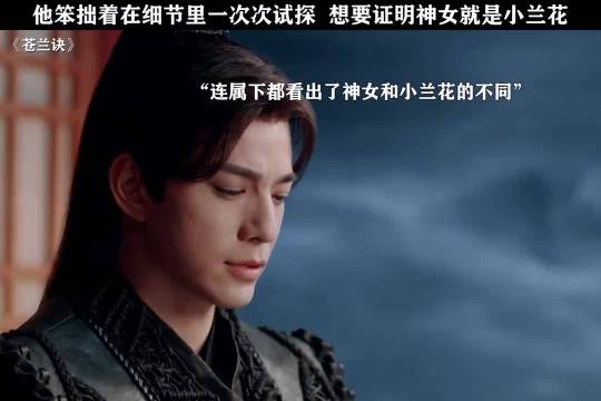 虞书欣王鹤棣苍兰诀角色身份悬念未解