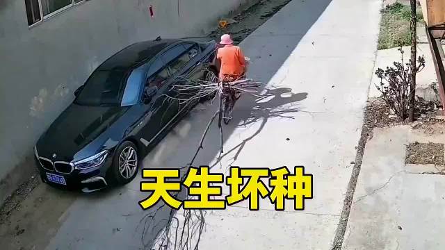 他不是知道自己错了，他是知道自己要完了！ 老司机