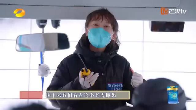 陈小春看东北虎捕猎现场，超近距离观察，小春哥的眼睛都亮了！