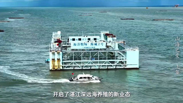 湛江智能海洋牧场破解近海养殖困局，12月22日亮相广东卫视