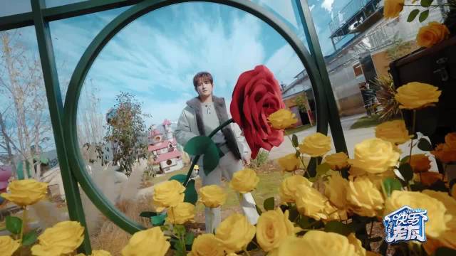 张远借沙漠种玫瑰疗伤，花房少年浪漫具象化