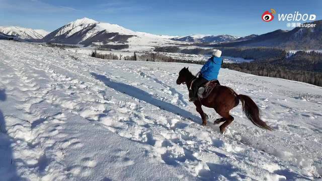 阿勒泰雪景引怀念，游客计划寒假再赴极寒之旅