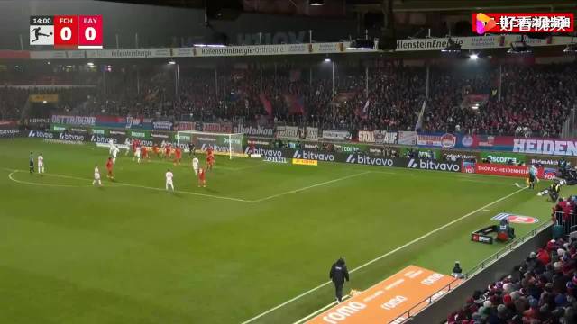 樊振东3比0胜豪格，拜仁4比0客胜海登海姆