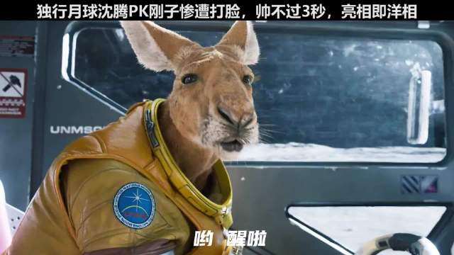 沈腾晚上睡觉的时候掀开被子，发现里面藏着个刚子独行月球