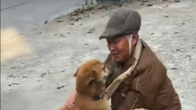 绵阳男子受伤住院，爱犬守摩托车8天不离弃