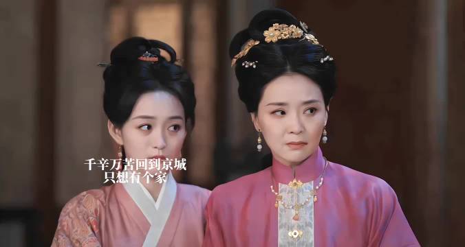 母亲和傅云夕是为数不多对庄寒雁有真心的人