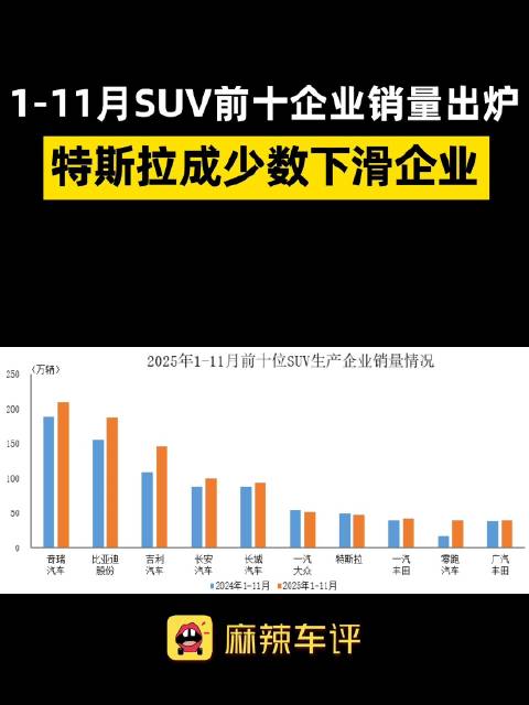 1至11月SUV前十销量出炉，特斯拉成少数下滑车企
