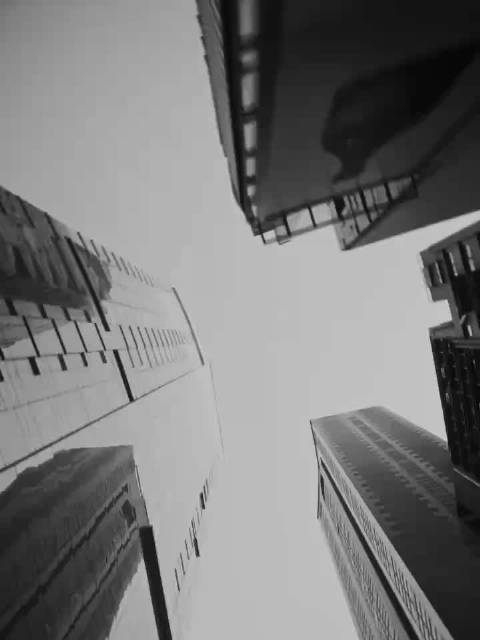 黄景瑜粤语听说读写全掌握，从散装到进阶满级