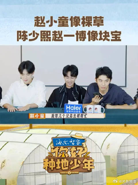 赵小童像棵草陈少熙赵一博像块宝