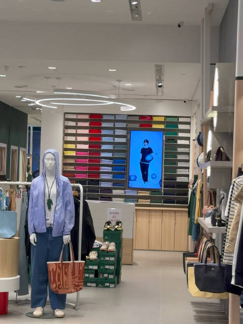 嗨喽 小鳄鱼一博