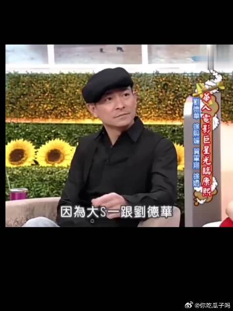 徐妈妈疯狂迷恋刘德华