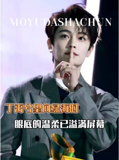 丁禹兮绿海应援亮相星光大赏