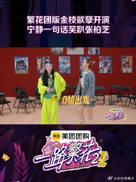 姐姐们搭档的化学反应绝了，看繁花团如何拿捏宫斗戏！