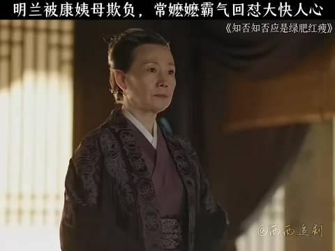 专治各种不服的常嬷嬷！怒怼康姨母这段封神了，看得人热血沸腾，必须反复刷！