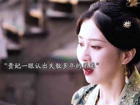 多年前家破人亡，姐弟俩被迫分开，弟弟受尽苦难，没想到竟再次与姐姐重逢