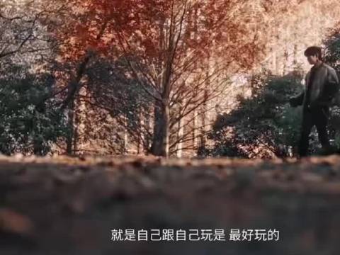 易烊千玺2026年计划独自旅行寻求放松