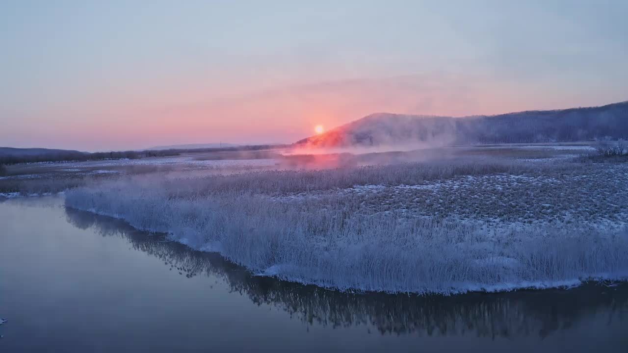 牡丹江芦苇荡银装素裹，碎雪芦花共舞冬日盛典