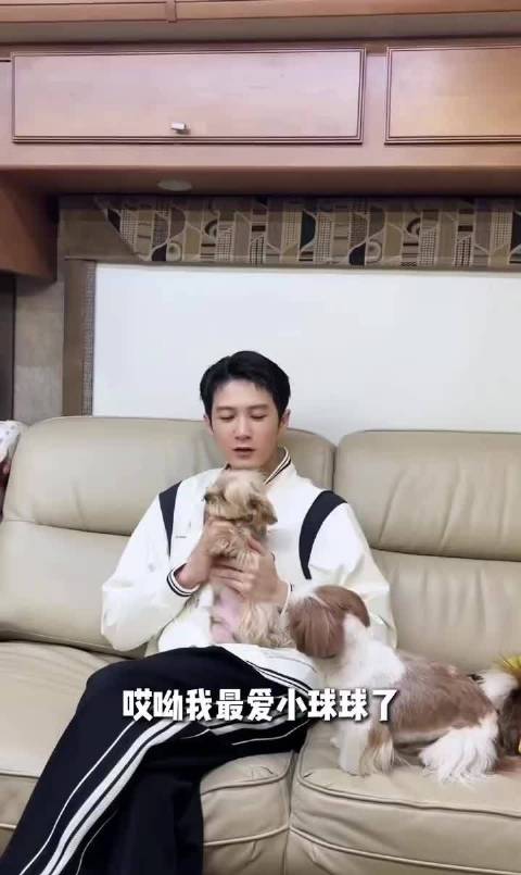 都快把小球惹毛了 只为了让小呆吃醋 这波我站小球 檀健次真的拿了三个奖