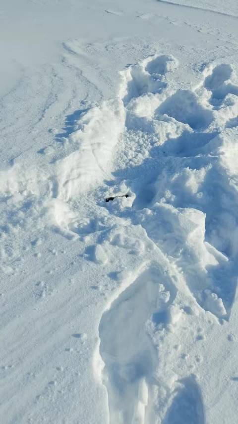 媒体老师雪地丢手机，众人合力终寻回