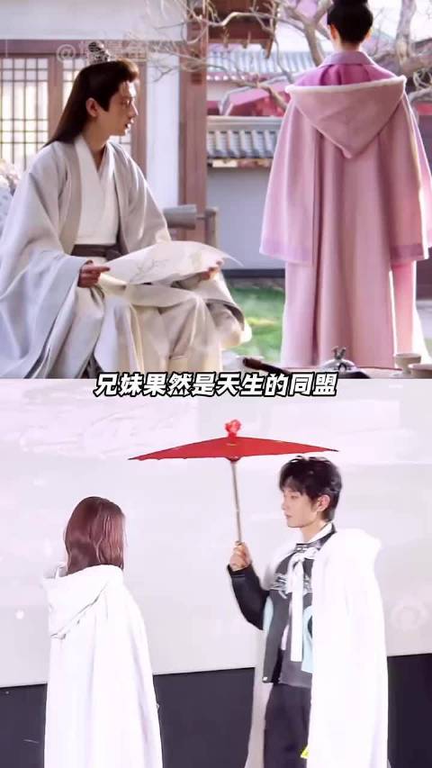 你们哥妹的故事线是专门来赚我眼泪的吗！