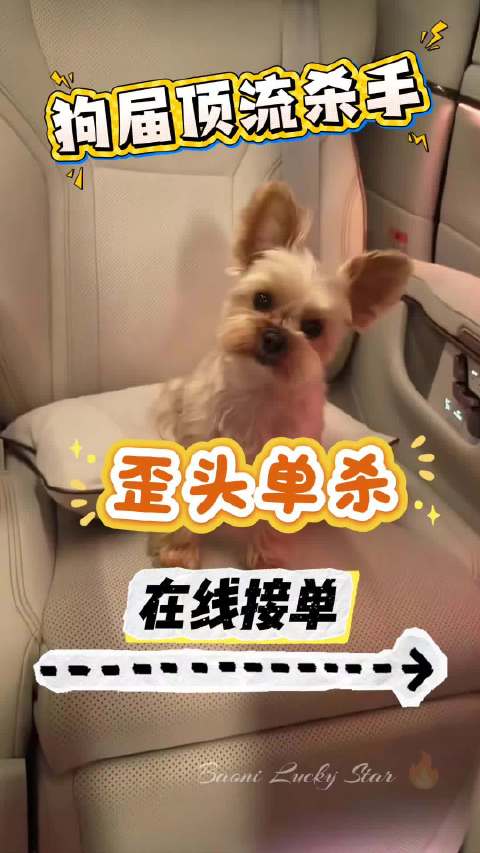 生日快乐，詹姆斯呆球来也@檀小呆与檀力球 @MIC檀健次JC-T DQ