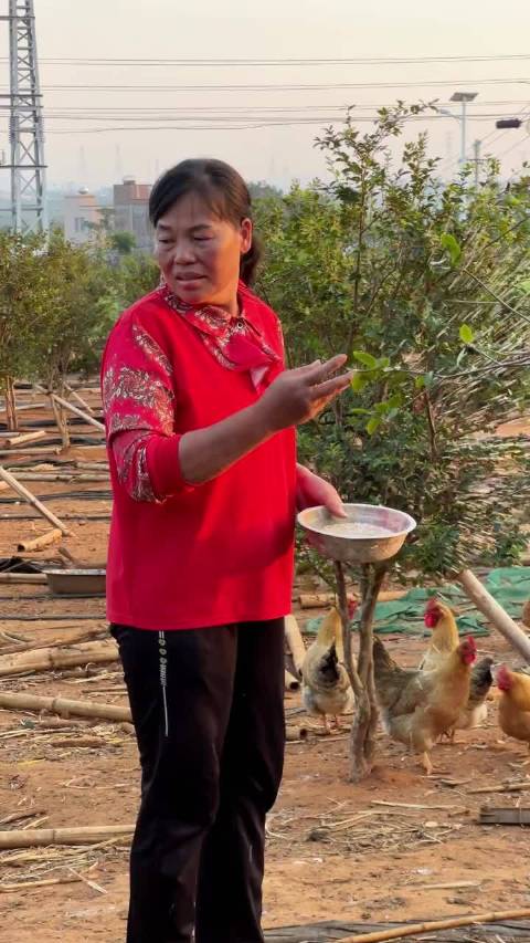 全红婵爸妈简单又幸福的生活，感觉全红婵妈妈瘦了不少，注意身体啊！