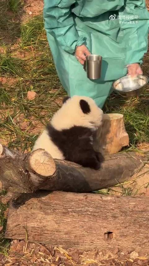 夜色温柔卸疲惫，与梦相拥待晨光
