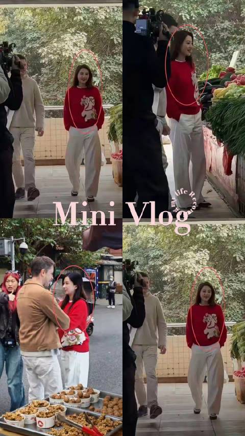 高圆圆使用灯光替身实为专业需求，非表演替身