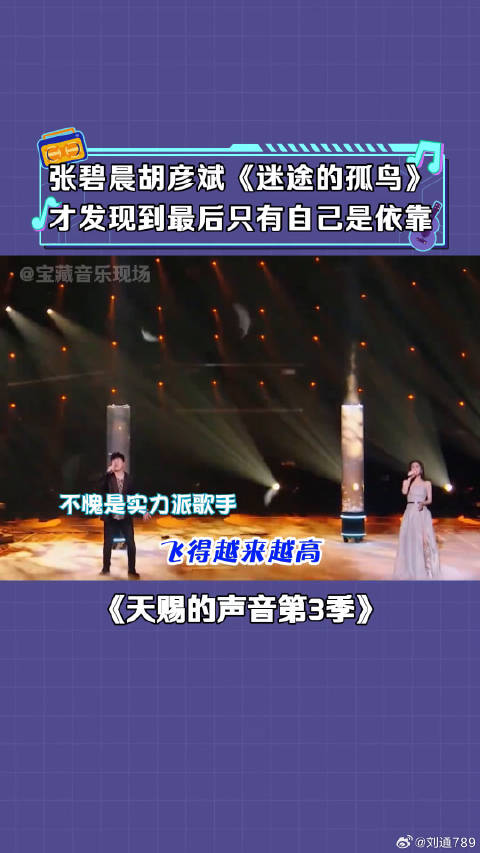 胡彦斌 迷途的孤鸟 音乐