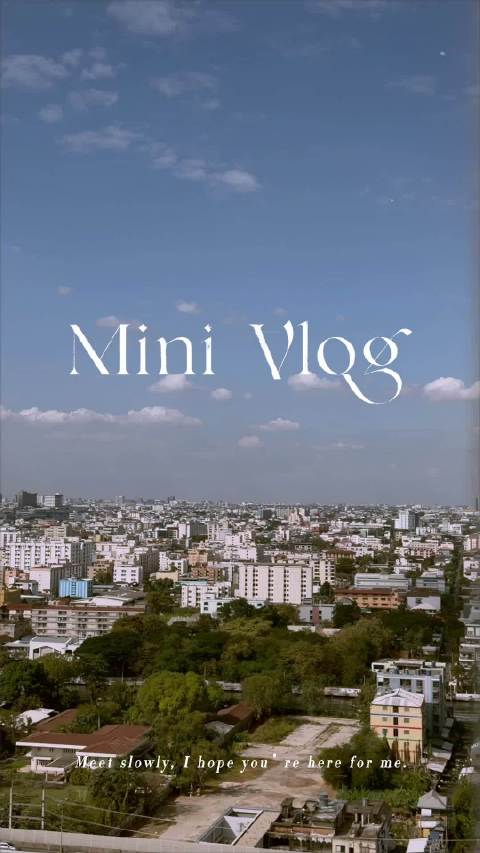 走前vlog the mall新来了几只小鸟 二十几度的曼谷 清汤河粉 摩托 见面