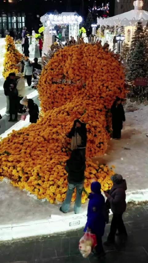 哈尔滨小学特色作业冰封黄玫瑰获奖，刘亦菲粉丝创意受赞