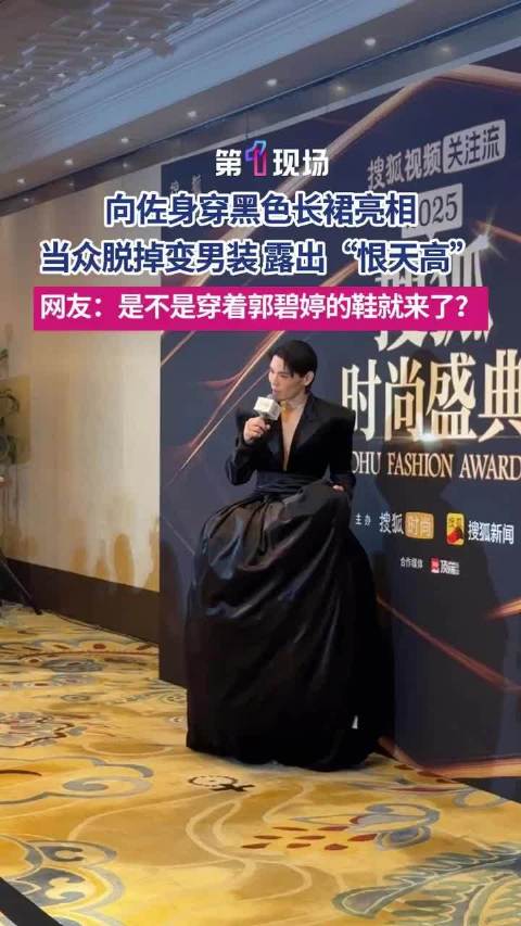 向佐身穿黑色长裙亮相活动