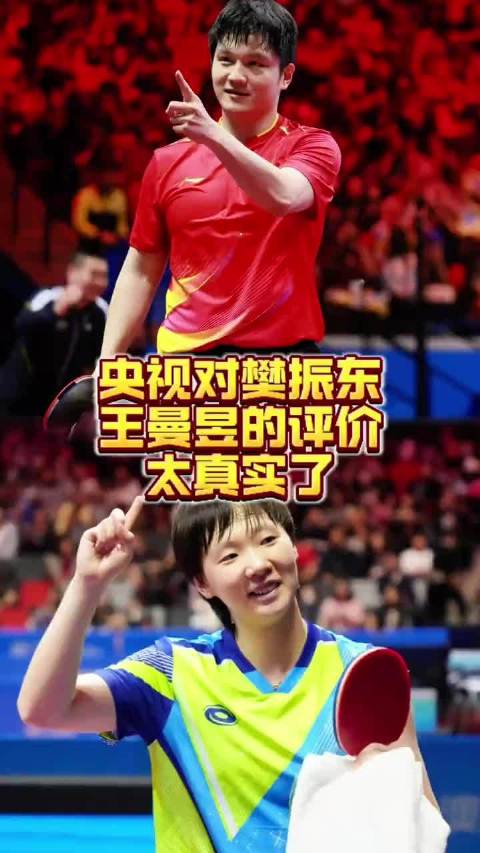 央视对樊振东王曼昱的评价太真实了！乒乓世界