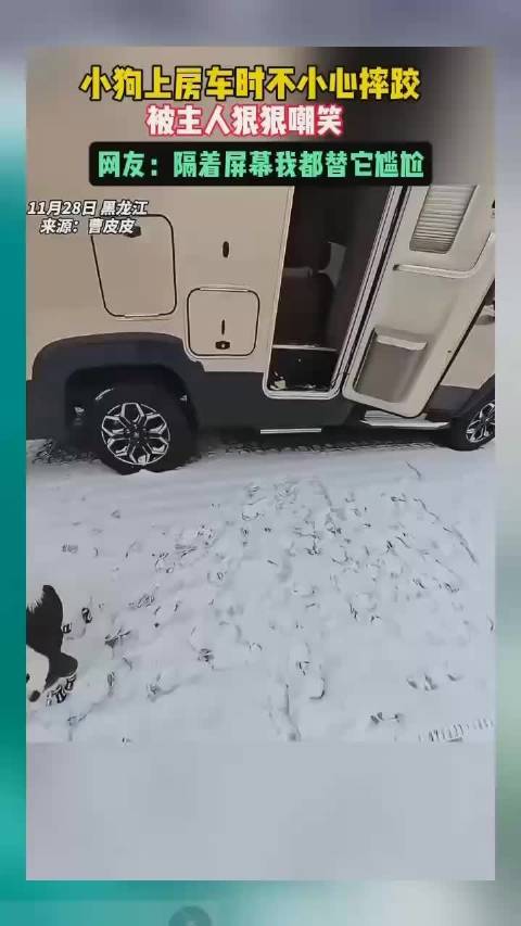 小狗上房车时不小心摔跤，被主人狠狠嘲笑