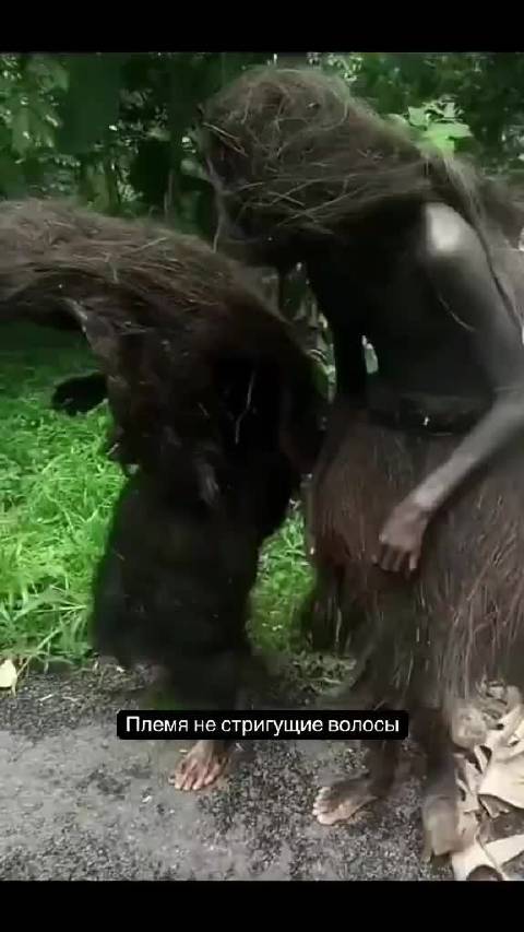 马达加斯加齐米赫蒂族以不剪发传承文化抵抗传统